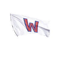 Ojll Sticker by Ontario Junior Lacrosse League