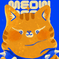 celllophane meow celllophane GIF