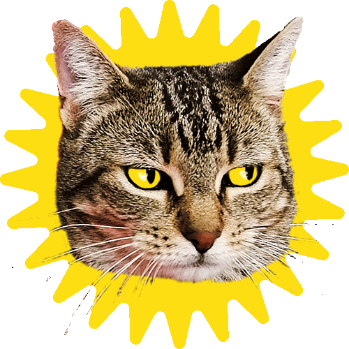 Et_Pourquoi_Pas giphyupload lala epp ledorat Sticker