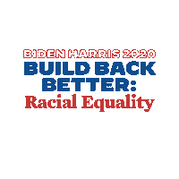Voting Election 2020 Sticker by Joe Biden