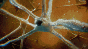 Double Helix Gore GIF by Xbox