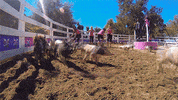 bad girls club lol GIF by Oxygen