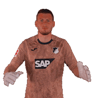 Sport Bundesliga Sticker by TSG Hoffenheim