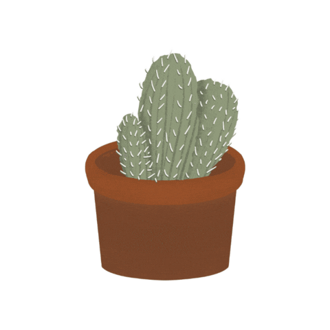 Anusha21 giphygifmaker sticker plant cactus Sticker