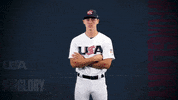 Pro GIF by USA Baseball
