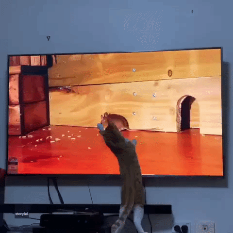 Mission Im-paw-ssible: Cat Tries (and Fails) to Capture Virtual Mouse