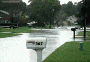 home video water GIF by Cheezburger