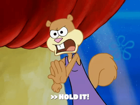 season 6 gullible pants GIF by SpongeBob SquarePants