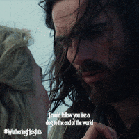 Dog Follow GIF by Warner Bros. Pictures