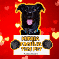 Dog Love GIF