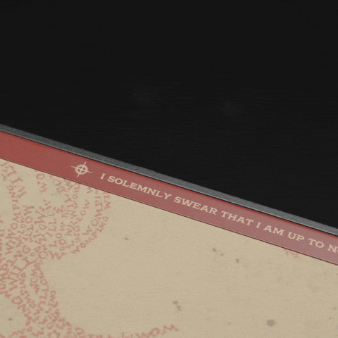 Harry Potter Setup GIF by Secretlab