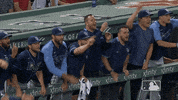 Regular Season Sport GIF by MLB
