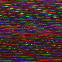 glitch art GIF by LetsGlitchIt