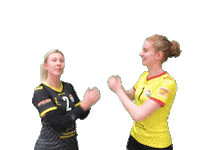 Eredivisie Volleybal Sticker by Draisma Dynamo