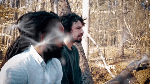 Talking Music Video GIF by Refresh Records