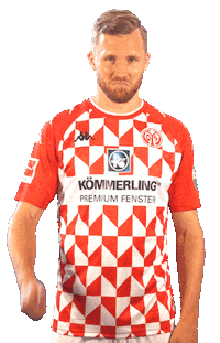Bundesliga Mainz05 Sticker by 1. FSV Mainz 05