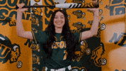 Softball GIF by NDSU Athletics