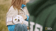 nat geo wild yukon vet GIF by Dr. Oakley, Yukon Vet