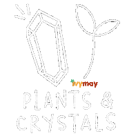 Plants Crystals Sticker by IvyMay & Co.