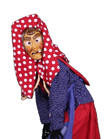 Staenglihocker_Narrenzunft giphyupload karneval has fasnacht Sticker