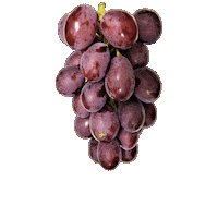 Grapes Budou Sticker by suikanosato