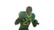 Baylor Football Sticker by Baylor Athletics