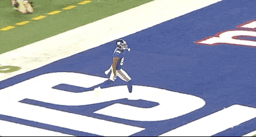 New York Giants Football GIF by NFL