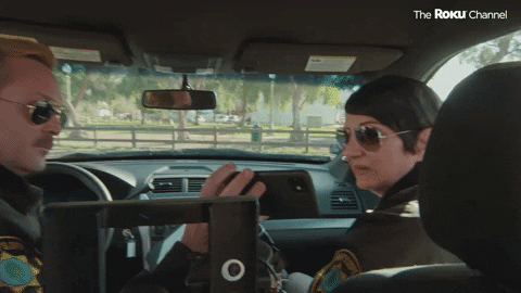 Reno 911 GIF by The Roku Channel