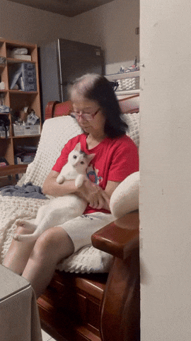 cuteanimalland giphyupload GIF