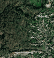 CoL_EppingForest  GIF
