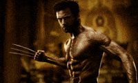 hugh jackman art GIF by chavesfelipe