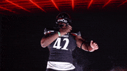 University Of Cincinnati Uc GIF by Cincinnati Bearcats