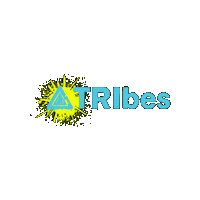 Sticker by TRIbes Trithlon