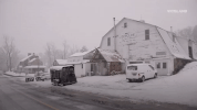 viceland GIF by F*CK, THAT'S DELICIOUS
