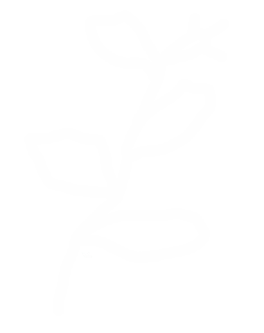 Flower Plant Sticker