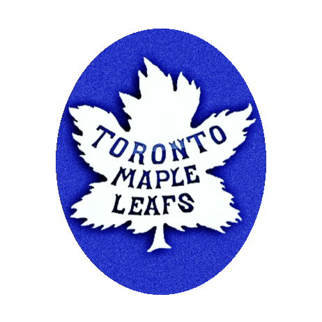 Toronto Maple Leafs Hockey Sticker by imoji