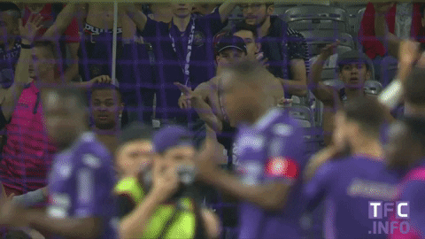 ligue 1 soccer GIF by Toulouse Football Club