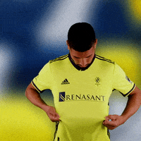 Major League Soccer Football GIF by Nashville SC