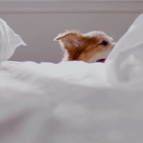 GIF by Fuse Service
