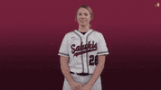 siusalukis siu salukis siusoftball salukisoftball GIF
