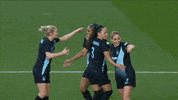 Womens Soccer Goal GIF by National Women's Soccer League