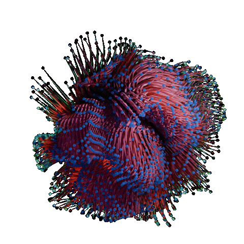 Blender Sticker