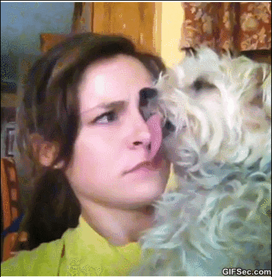 dog kiss GIF