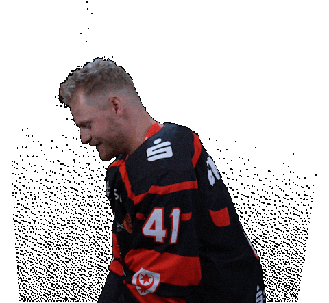 Happy Goal Sticker by Saale Bulls