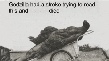 Reading Read GIF