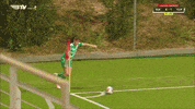 Goal Header GIF by Cliftonville Football Club