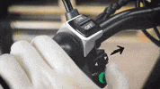 twodogsbr dogs two patinete twodogs GIF