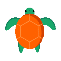 flowe_ita turtle tartaruga flowe Sticker