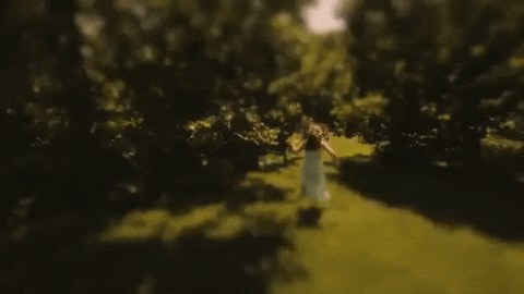 braid GIF by Topshelf Records