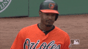 Baltimore Orioles Ok GIF by MLB